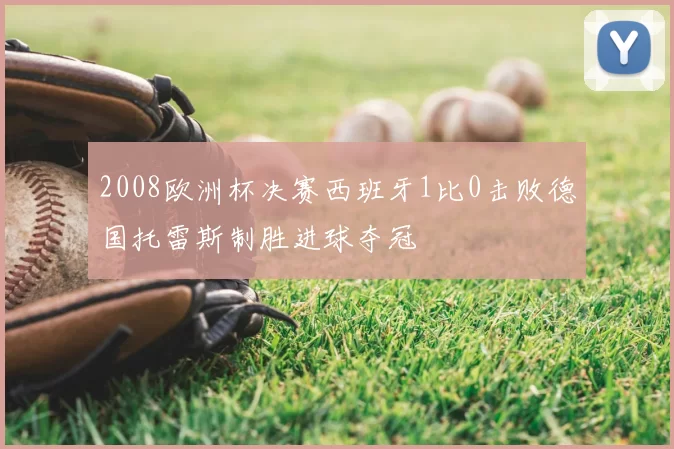 2008欧洲杯决赛西班牙1比0击败德国托雷斯制胜进球夺冠