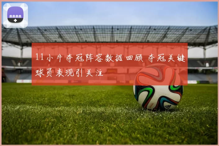 11小牛夺冠阵容数据回顾 夺冠关键球员表现引关注