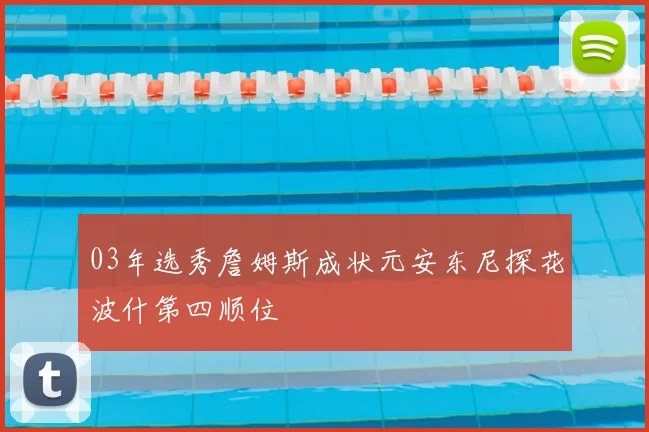 03年选秀詹姆斯成状元安东尼探花波什第四顺位