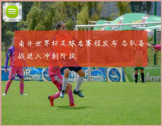 南非世界杯足球名赛程发布 各队备战进入冲刺阶段