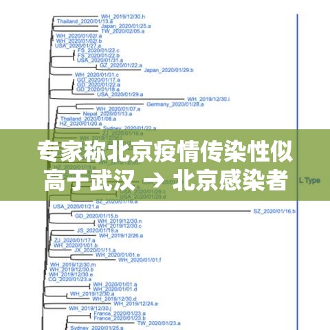 专家称北京疫情传染性似高于武汉 → 北京感染者都是什么人 专家称北京疫情传染性似高于武汉 → 北京感染者都是什么人